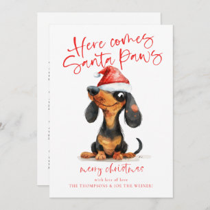 Funny Dackel Santa Paws 2025 Kalender Weihnachten