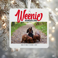 Funny Dackel Würstchen Hund Weihnachten Foto