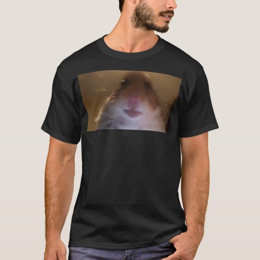 Funny dank Meme Hamster Staring Front Camera Inter T-Shirt (Vorderseite)