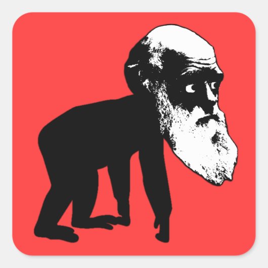 Funny Darwin Evolution Quadratischer Aufkleber (Vorderseite)