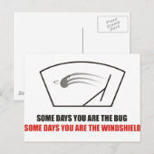 Funny - Das Leben als Bugs auf einer Windschutzsch Postkarte (Vorne/Hinten)