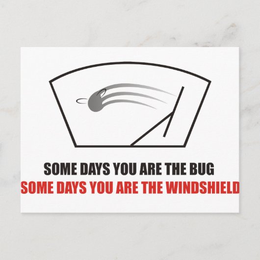 Funny - Das Leben als Bugs auf einer Windschutzsch Postkarte (Vorderseite)