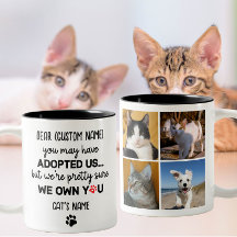 Funny Dear Cat Sprichwort, Custom 4 Cat's Foto & N