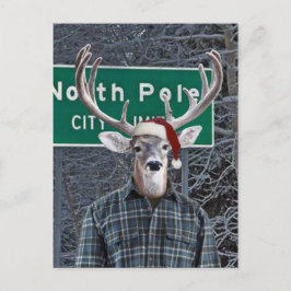 Funny Deer Wear Weihnachtsmannmütze am Nordpol Feiertagspostkarte