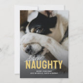 Funny Definieren Naughty Pet Weihnachten (Vorderseite)