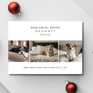 Funny Definition Naughty Christmas Hund Foto Grüße Feiertagskarte
