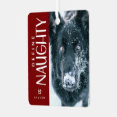 Funny Definition Naughty Pet Foto Keepake Geschenk Ornament Aus Metall (Vorderseite links)