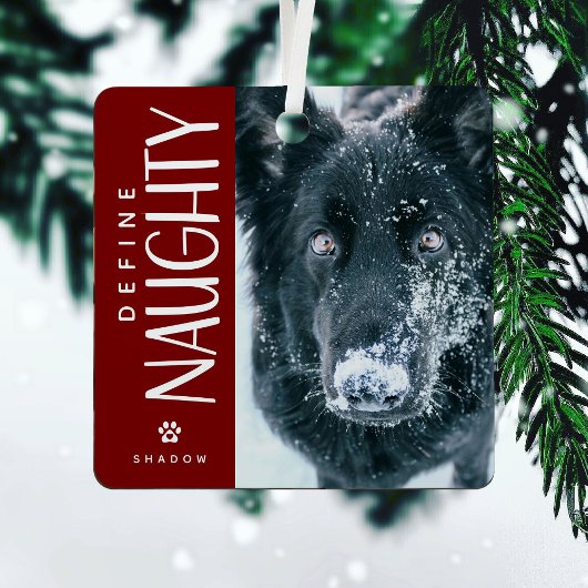 Funny Definition Naughty Pet Foto Keepake Geschenk Ornament Aus Metall