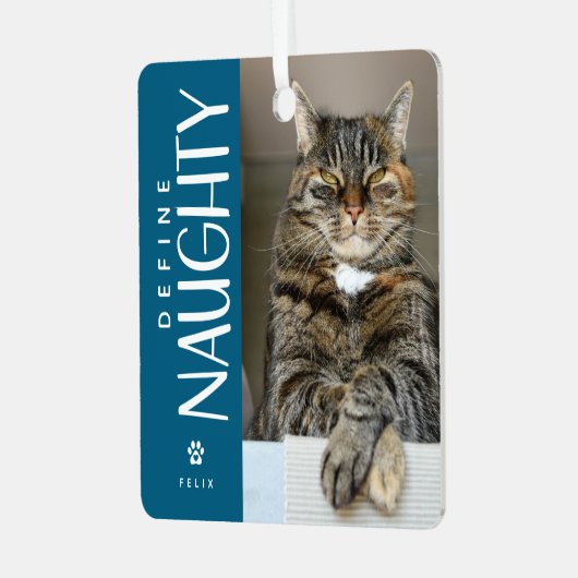 Funny Definition Naughty Pet Foto Keepake Geschenk Ornament Aus Metall (Vorderseite links)