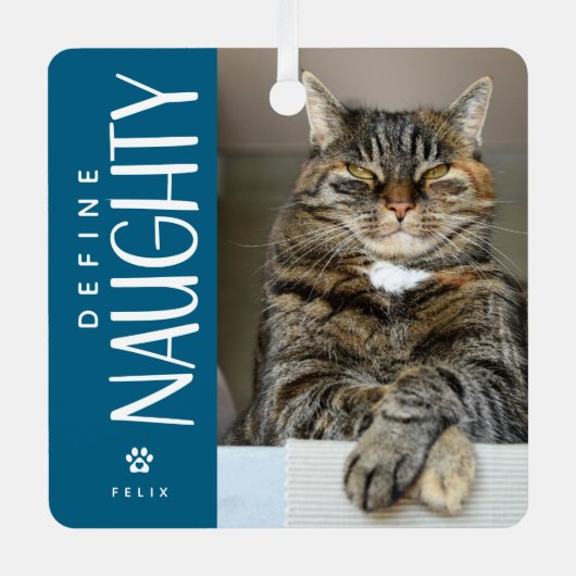 Funny Definition Naughty Pet Foto Keepake Geschenk Ornament Aus Metall (Vorderseite)