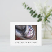 Funny Dental Checkup Erinnerung Ziege Postkarte (Stehend Vorderseite)