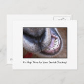 Funny Dental Checkup Erinnerung Ziege Postkarte (Vorne/Hinten)