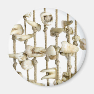 Funny Dental Fotografy Extracted Zähne Zahnarzt Magnet