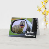 Funny Dinosaur Aging Birthday Karte (Gelbe Blume)