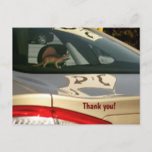 Funny Dinosaur Vielen Dank Postcard