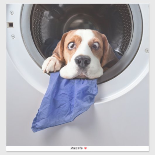 Funny dizzy beagle delicate washing aufkleber (Blatt)