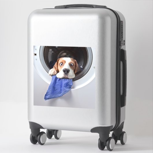 Funny dizzy beagle delicate washing aufkleber (Koffer)