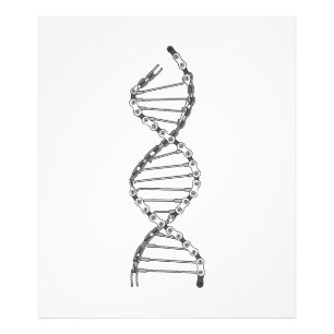 Funny DNA Cycling Bicycle Chain Mountain Bike Lieb Fotodruck