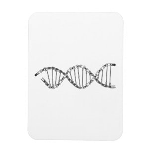 Funny DNA Cycling Bicycle Chain Mountain Bike Lieb Magnet