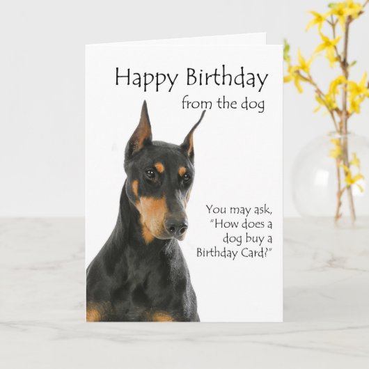 Funny Doberman Birthday Card Karte (Gelbe Blume)