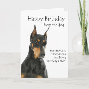 Funny Doberman Birthday Card Karte