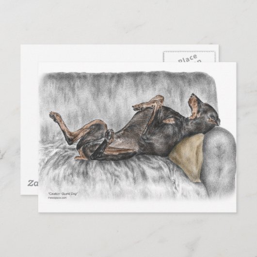 Funny Doberman on Sofa Postkarte (Vorne/Hinten)