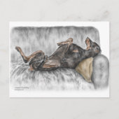 Funny Doberman on Sofa Postkarte (Vorderseite)