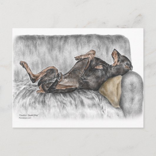 Funny Doberman on Sofa Postkarte (Vorderseite)