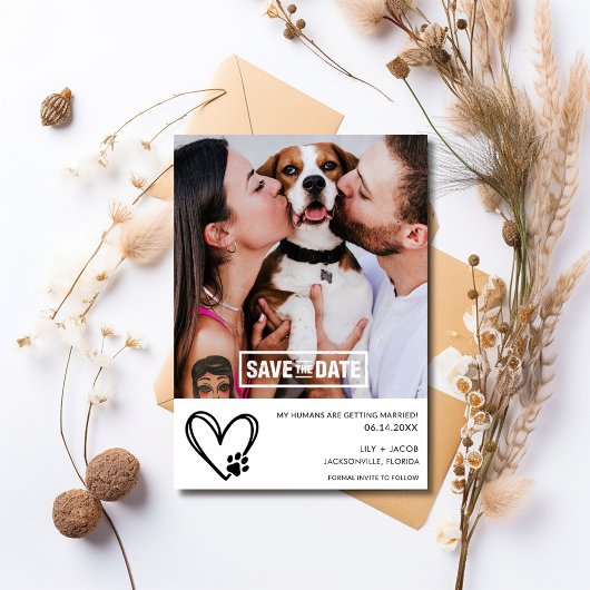 Funny Dog 2 Foto Hochzeit Save The Date