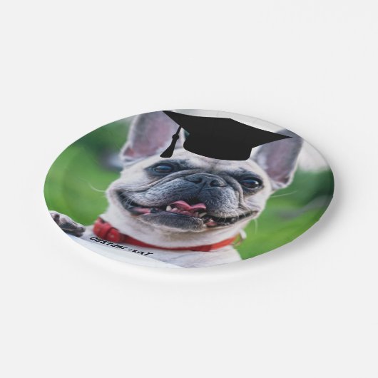 Funny Dog Abschluss Französischer BullDog Custom F Pappteller (Schrägansicht)
