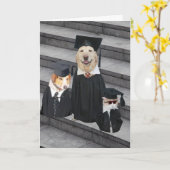 Funny Dog Abschluss Karte (Gelbe Blume)