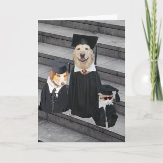 Funny Dog Abschluss Karte