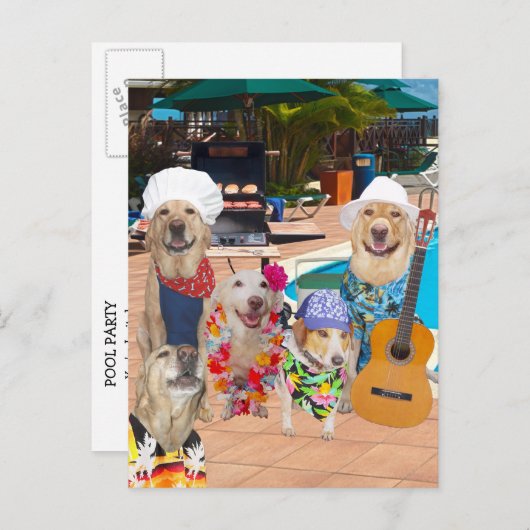Funny Dog Anpassbare Pool Party Postcard Einladung (Vorne/Hinten)