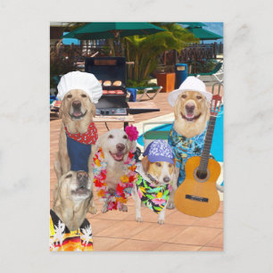 Funny Dog Anpassbare Pool Party Postkarte
