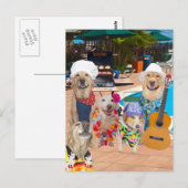 Funny Dog Anpassbare Pool Party Postkarte (Vorne/Hinten)