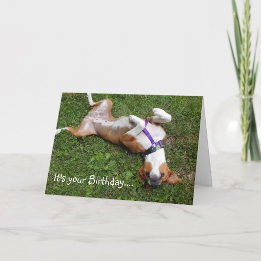 Funny Dog Birthday Card Karte (Vorderseite)