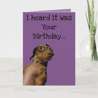 Funny Dog Birthday Card Karte