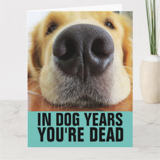 FUNNY DOG BIRTHDAY DOG GREETING CARDS KARTE