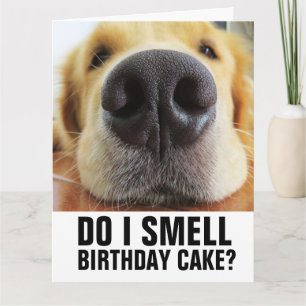 FUNNY DOG BIRTHDAY GREETING CARD KARTE