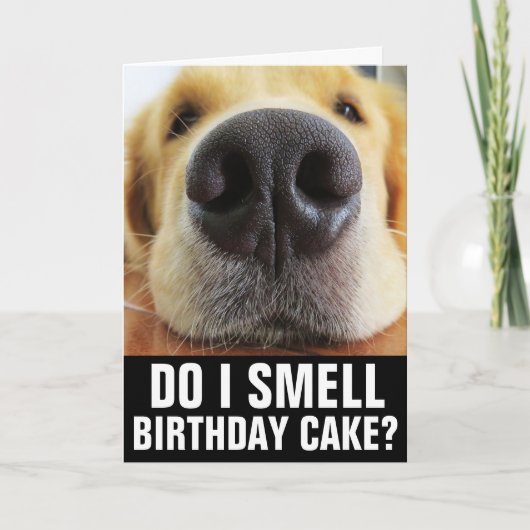 FUNNY DOG BIRTHDAY GREETING CARD KARTE (Vorderseite)