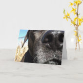 Funny Dog birthday Karte (Gelbe Blume)