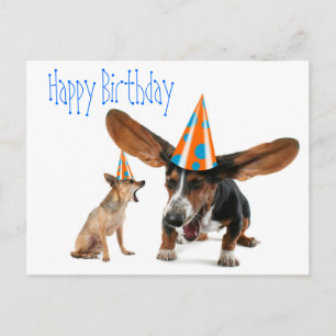 Funny Dog Birthday Postkarte