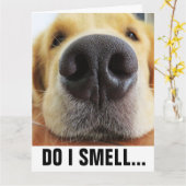 FUNNY DOG BIRTHDAY, SMELL BIRTHDAY CAKE? CARD KARTE (Gelbe Blume)