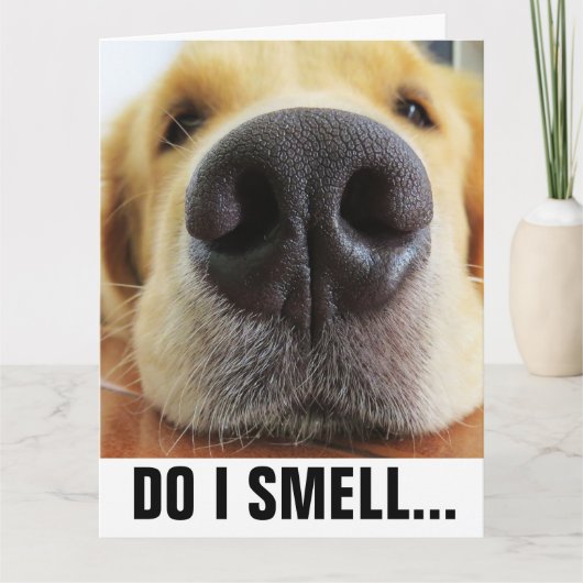 FUNNY DOG BIRTHDAY, SMELL BIRTHDAY CAKE? CARD KARTE (Vorderseite)