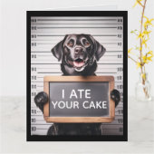 FUNNY DOG BRTHDAY MUGSHOT GREETING CARD KARTE (Gelbe Blume)
