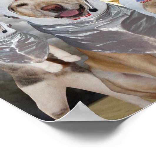 Funny Dog/Cat Astronauten Science Poster (Ecke)