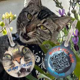 Funny Dog Cat Spaß Personalisierte Details & QR Co Haustiermarke