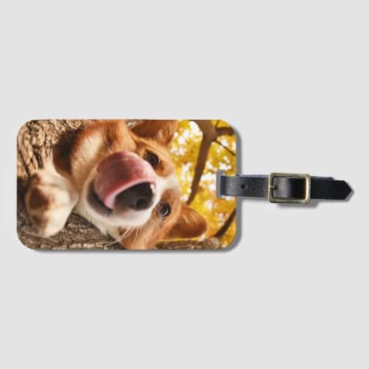 Funny Dog Custom Foto Gepäckanhänger (Vorderseite (Horizontal))