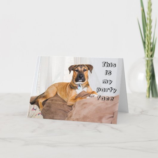 Funny Dog Das ist mein Party Geburtstag Karte (Vorderseite)