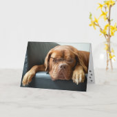 Funny Dog denkt über dich nach Karte (Gelbe Blume)